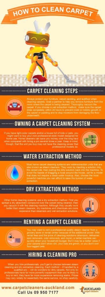 how to clean your carpets properly 